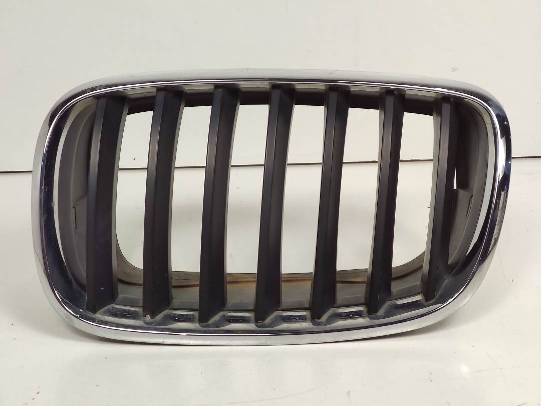 REJILLA DELANTERA - BMW - #525070