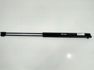 #317297 AMORTIGUADORES CAPO