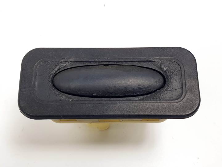 MANETA EXTERIOR PORTON - RENAULT - #1515755