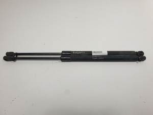 #554255 AMORTIGUADORES MALETERO / PORTON