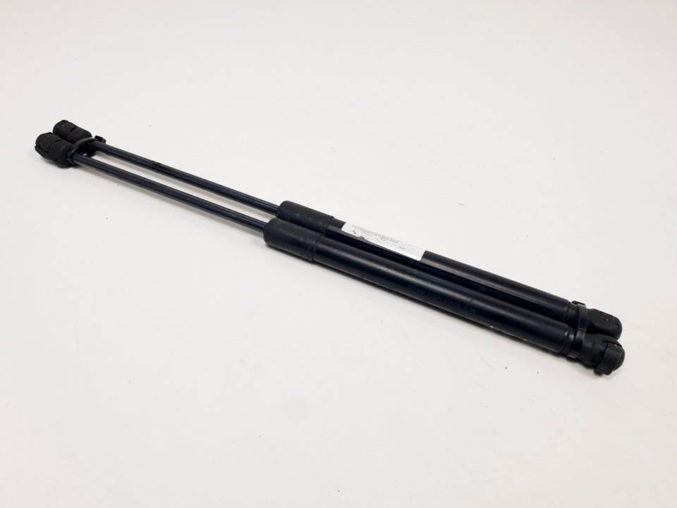 AMORTIGUADORES CAPO - 7148346 - BMW - X6 (E71)