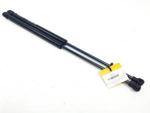 #3049627 AMORTIGUADORES MALETERO / PORTON