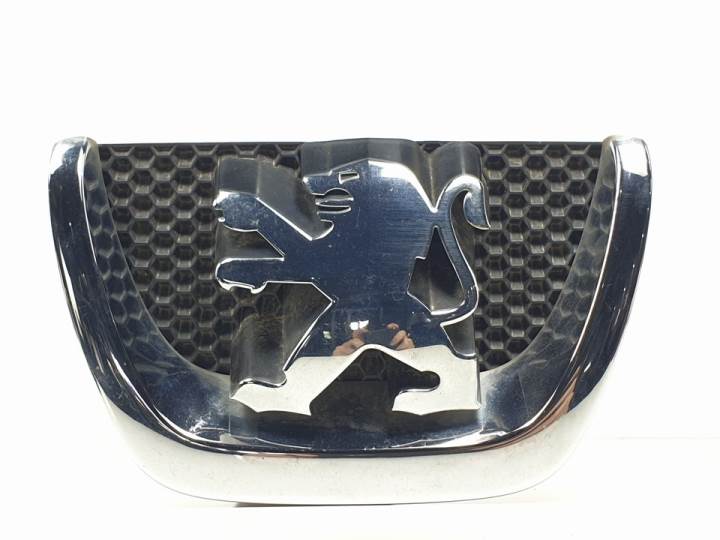 REJILLA DELANTERA - PEUGEOT - #1037239