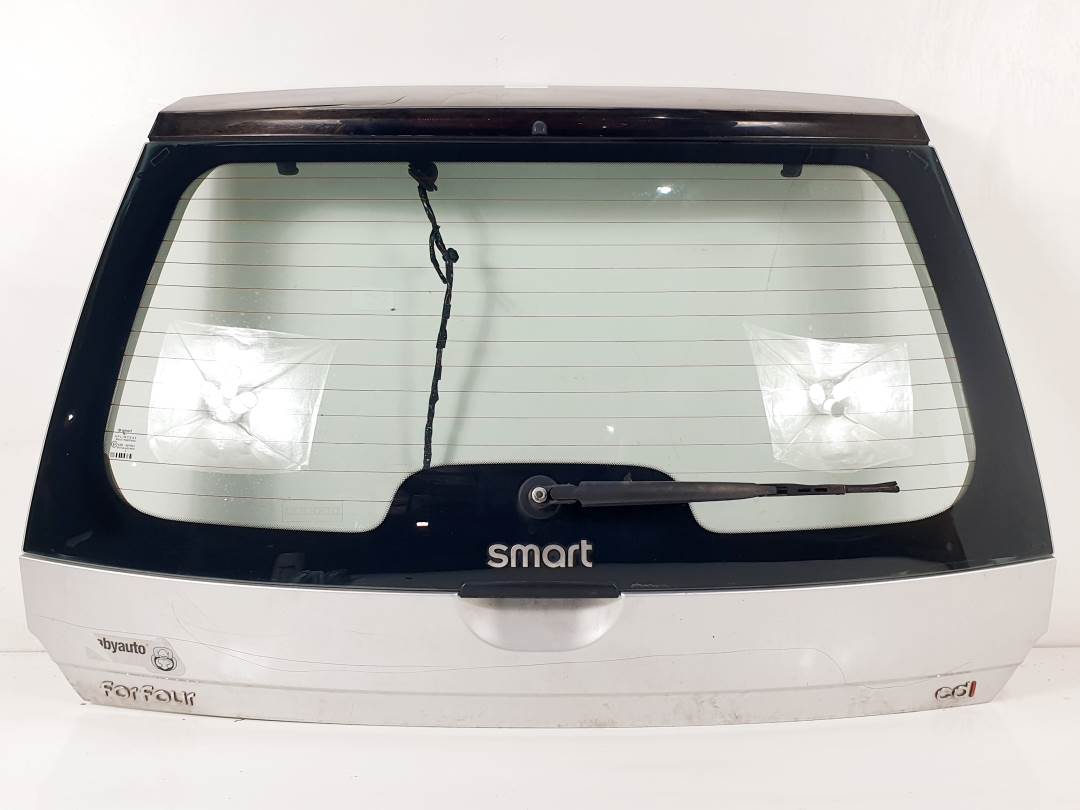 #3020434 PORTON TRASERO