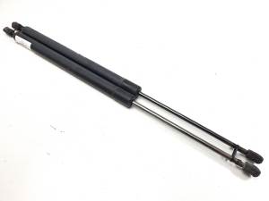 #3071489 AMORTIGUADORES MALETERO / PORTON