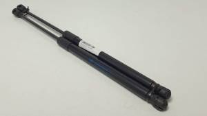 #1300465 AMORTIGUADORES MALETERO / PORTON