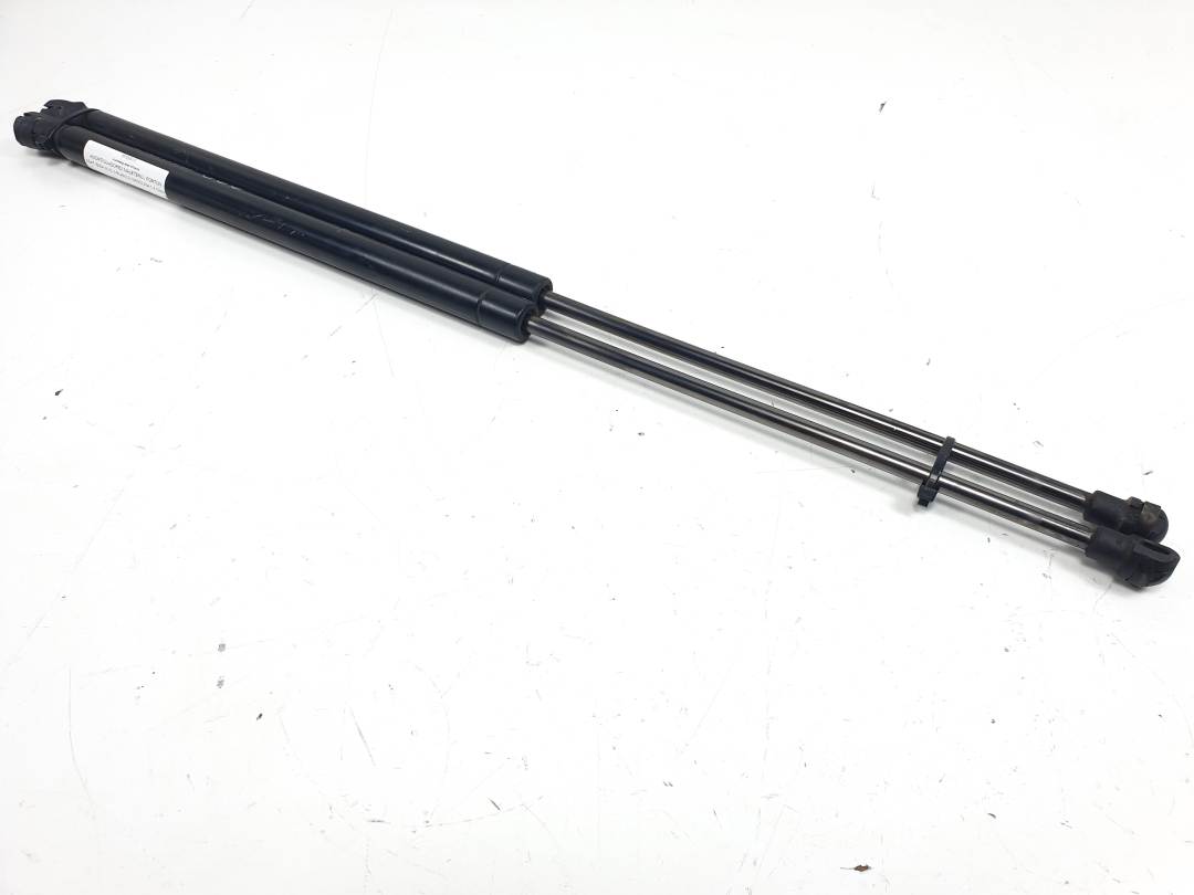 #3165908 AMORTIGUADORES MALETERO / PORTON