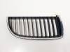 REJILLA DELANTERA - BMW - #977167