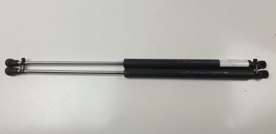 AMORTIGUADORES MALETERO / PORTON - 8200000902B - RENAULT - LAGUNA II (BG0)