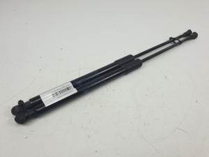 AMORTIGUADORES MALETERO / PORTON - CITROEN - #950623