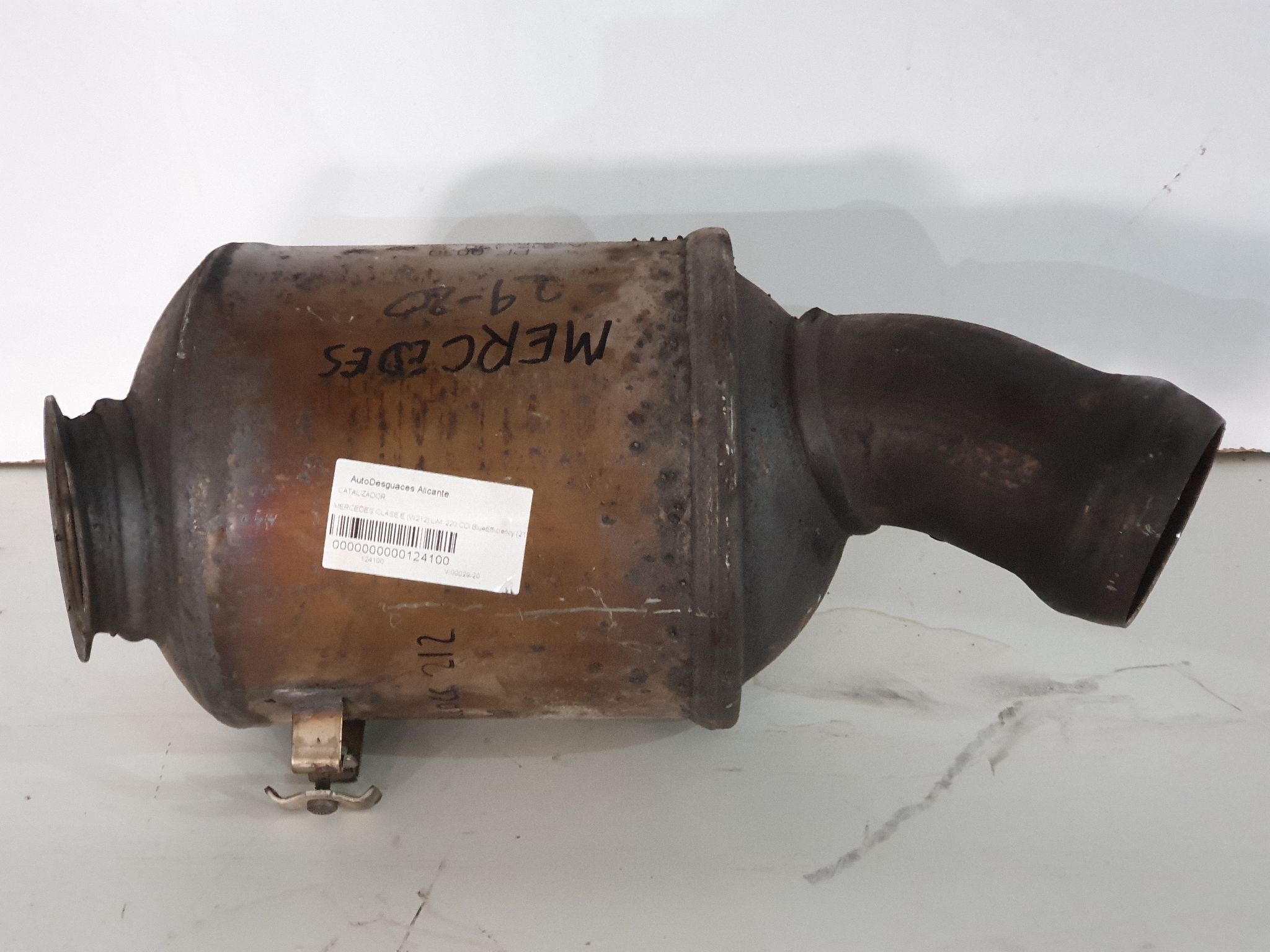 #124100 CATALIZADOR