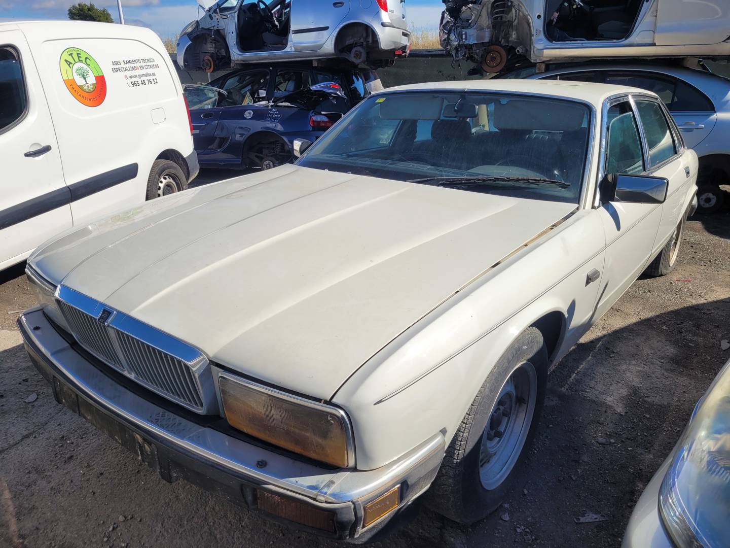 JAGUAR XJ6/12 (XJ40) (1986 - 1994)