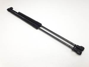 #3120518 AMORTIGUADORES MALETERO / PORTON